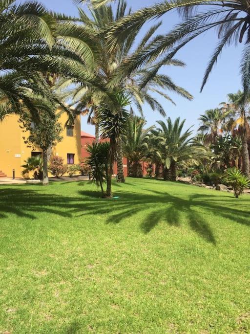 Corralejo Happy Place, Precioso Apartamento Con Piscina المظهر الخارجي الصورة