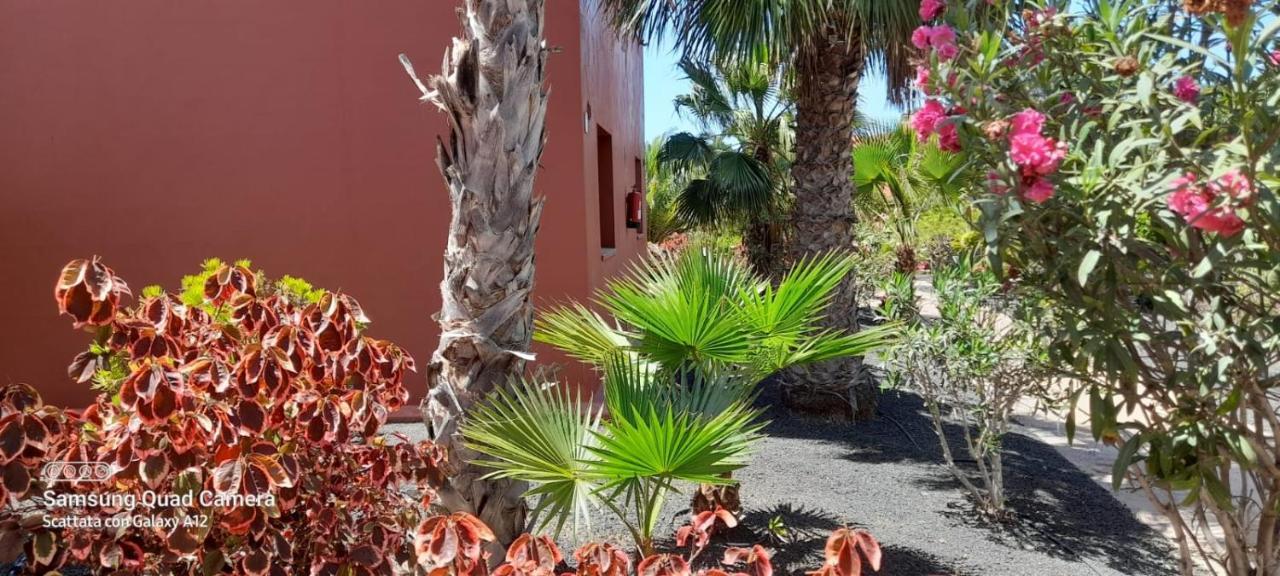 Corralejo Happy Place, Precioso Apartamento Con Piscina المظهر الخارجي الصورة